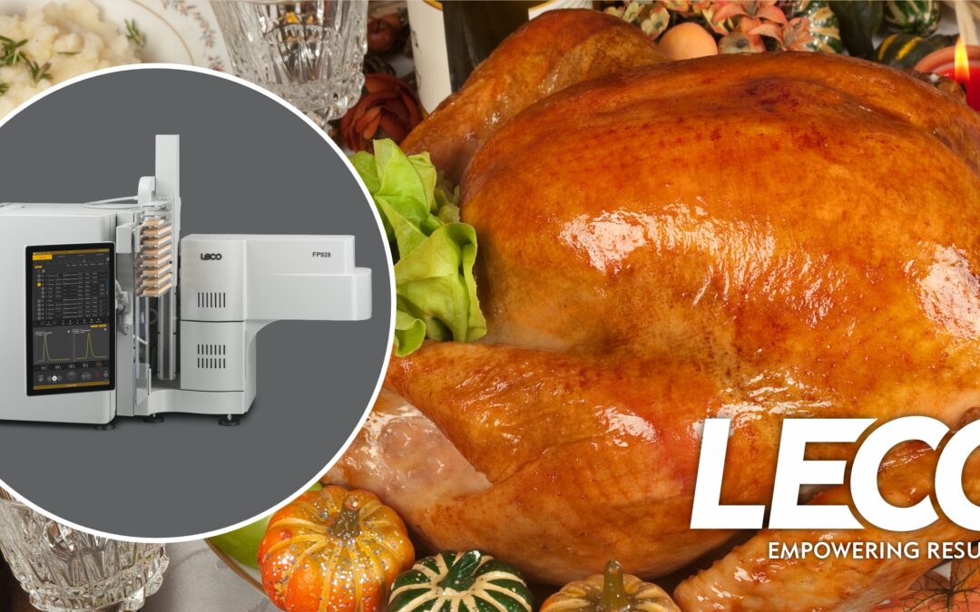 Unpacking the Protein Content of Your Thanksgiving Meal