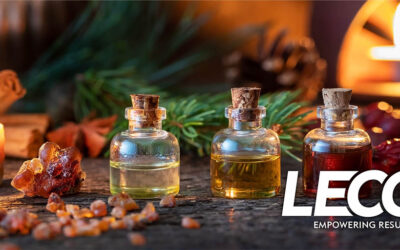 Frankincense and Myrrh Explained: Chemistry, Aroma, and GCxGC Analysis