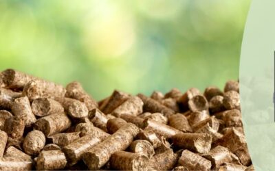 Unlocking the Power of Biofuels: Why Accurate CHNS Analysis Matters