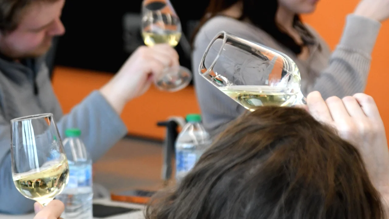 wine tasting members looking at their wines