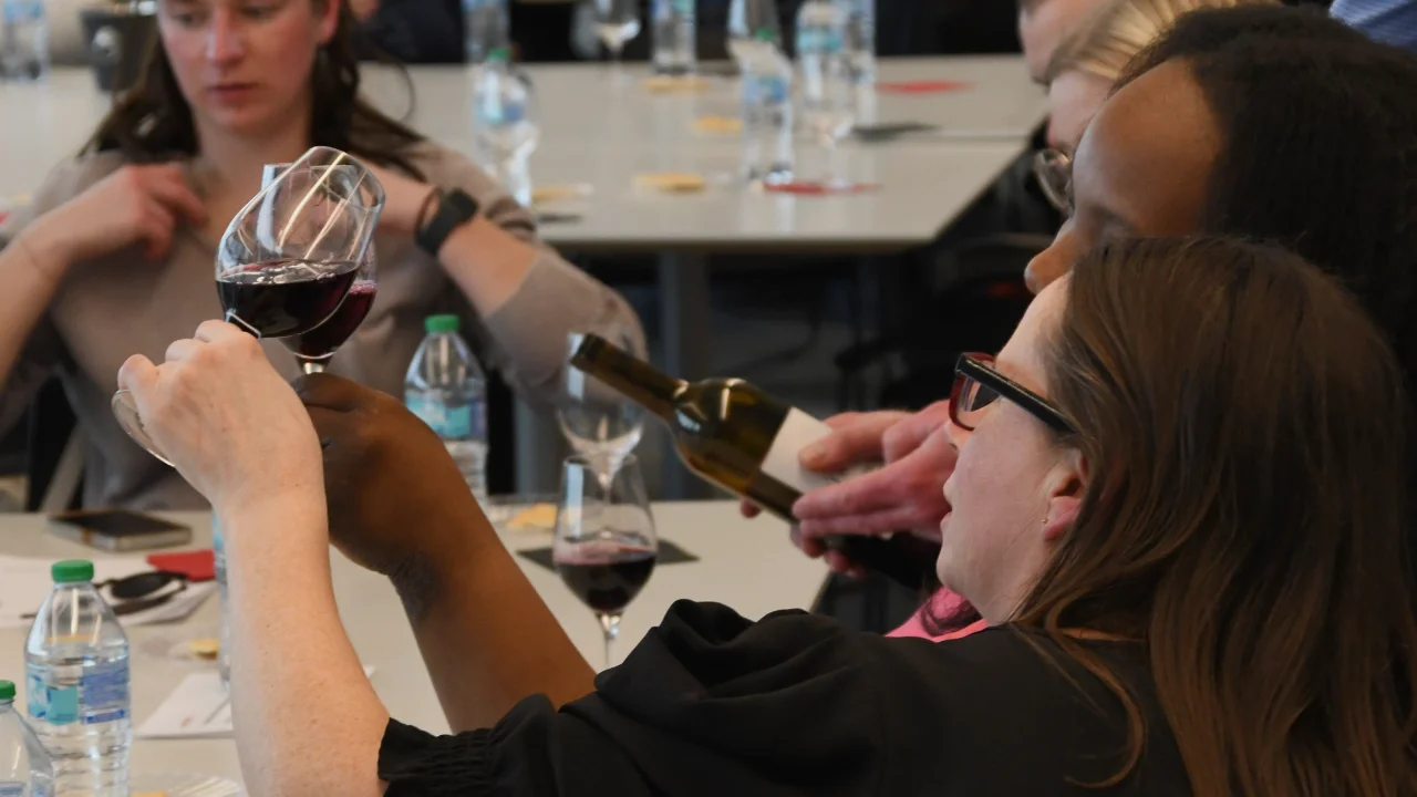 Chemistry of Wine participants visually examining red wines