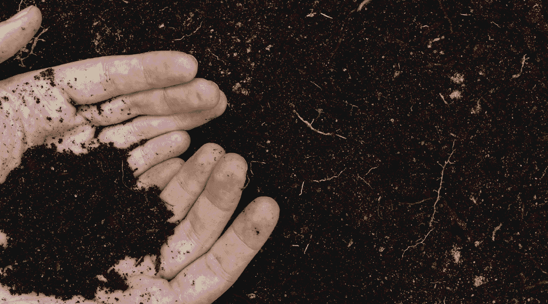 Gain Confidence in Your Total Organic Carbon (TOC) Data