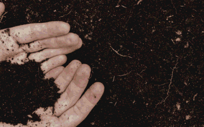 Gain Confidence in Your Total Organic Carbon (TOC) Data