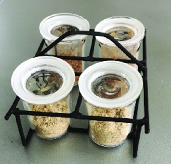 Four clear jars of solid biofuel samples to be assessed by a LECO TGA801.
