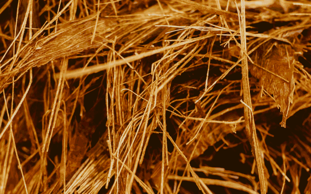 Advancing Biofuel Characterization with LECO Analytical Instrumentation