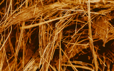 Advancing Biofuel Characterization with LECO Analytical Instrumentation