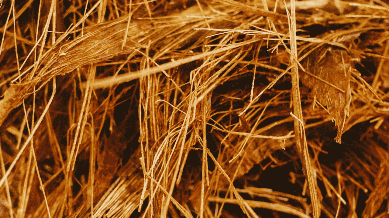 A zoomed-in photo of wet straw and other biomass, used for biofuel.