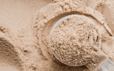 From Trash to Treasure: Testing Alternatives to Whey Protein Amidst Shortage